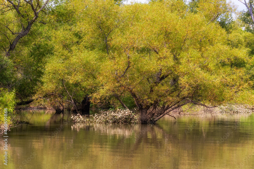 Fototapeta premium Beautiful Scenic views from a boat on the French River in Tennessee