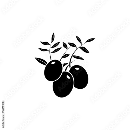 Branch of olives icon in ancient roma set