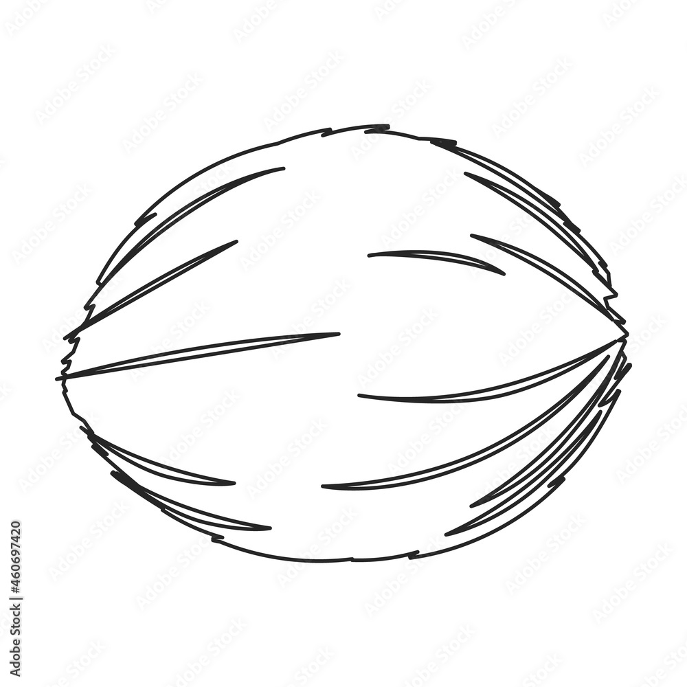 Fototapeta premium Coconut vector icon.Outline vector icon isolated on white background coconut.