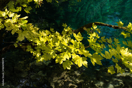 Beautiful landscape in the Plitvice Lakes National Park in Croatia