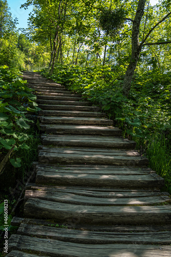 Wooden path in Plitvice National Park, Croatia in Europe