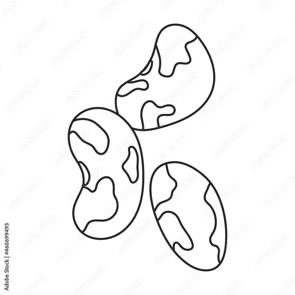 Beans vector outline icon. Vector illustration bean on white background. Isolated outline illustration icon of beans . Beans vector outline icon. Vector illustration bean on white background. Isolated outline illustration icon of beans .