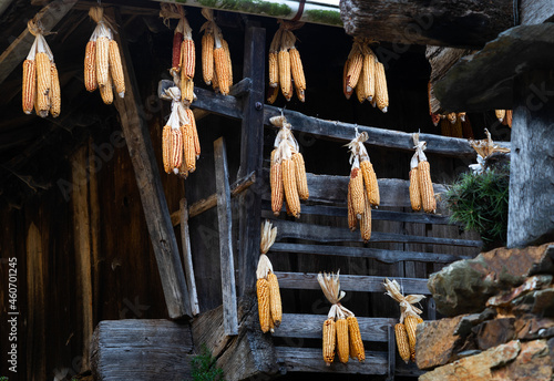 corn on the cob in an old farmhouse