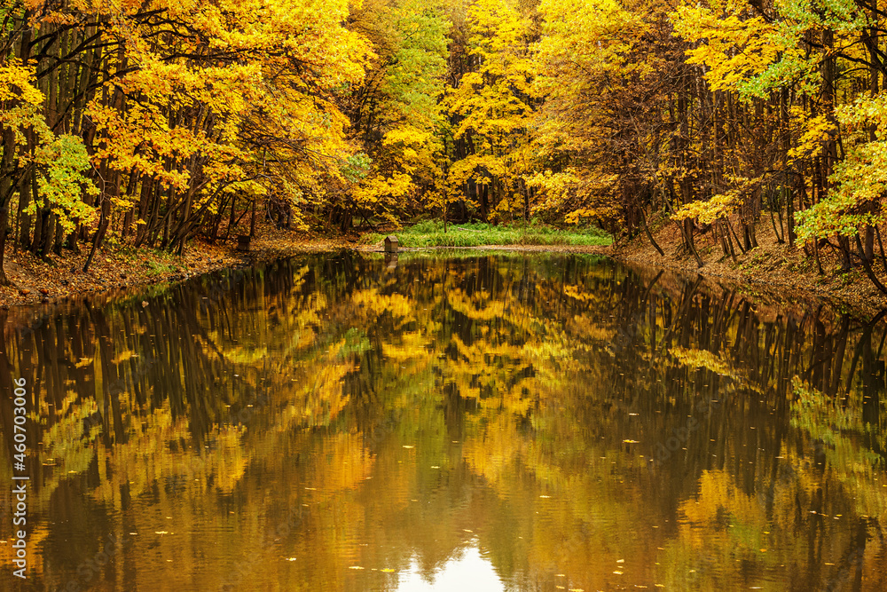 landscape of golden autumn at a forest park lake