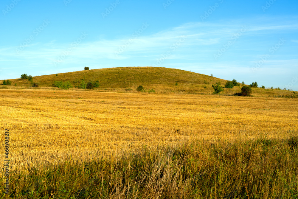 A field after harvesting on a bright sunny day and in the distance you can see an uneven mountain. A field after harvesting on a bright sunny day and in the distance you can see an uneven mountain.