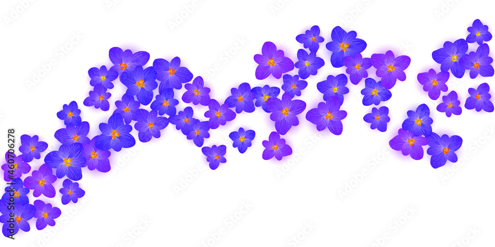 Crocus spring flowers vector illustration. Saffron flowers crocus blossom spring vector. Easter greeting card background saffron floral design. Religious holiday banner backdrop.