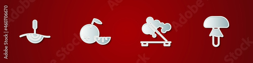Set Acupuncture therapy, Citrus fruit, Scented spa stick and Mushroom icon. Vector