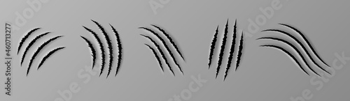 Realistic claw scratch. Paper cut and track of animal claw, rough holes in surface, fabric or paper