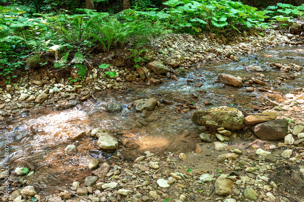 Sections of a mountain river, walking along the riverbed on a sunny summer day, wild places in nature. Sections of a mountain river, walking along the riverbed on a sunny summer day, wild places in nature.