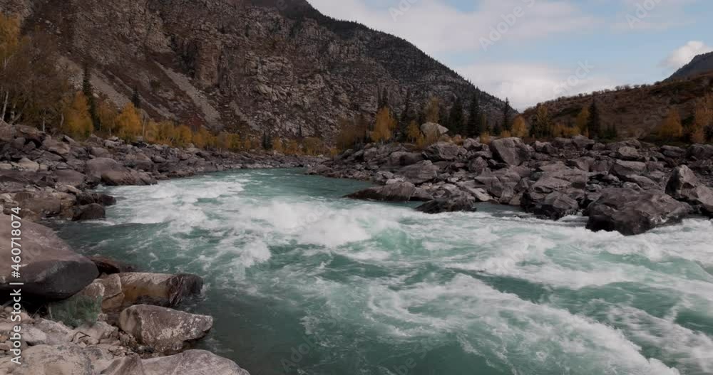 A turquoise mountain river flows violently among the stones against the background of the mountain and yellow larches. Altai, Russia. 4K A turquoise mountain river flows violently among the stones against the background of the mountain and yellow larches. Altai, Russia. 4K