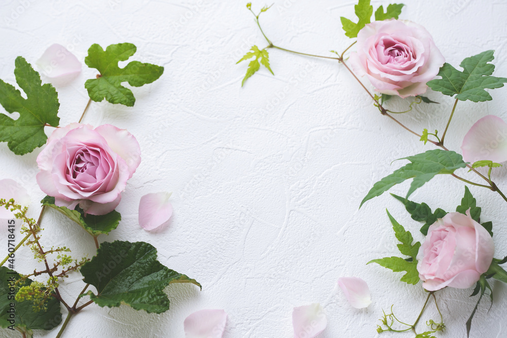 ピンクの花の背景 結婚式の招待状 薔薇 フレーム Stock Photo Adobe Stock