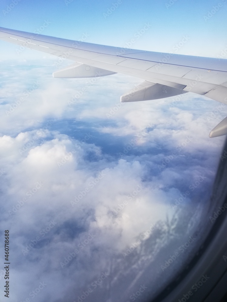 Vuelo Vuelo