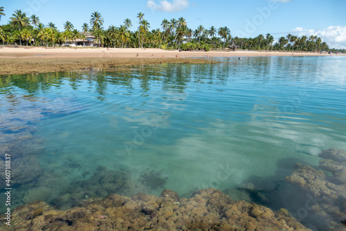 Idyllic beach with crystal clear water in Taipus de Fora, Marau, State of Bahia, Brazil photo