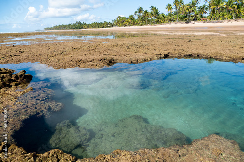 Idyllic beach with crystal clear water in Taipus de Fora, Marau, State of Bahia, Brazil photo