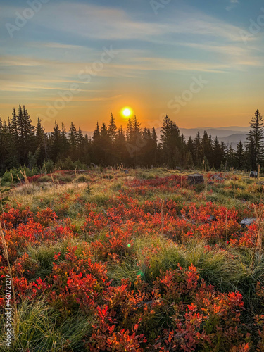 Idaho Autum Wilderness Sunrise 