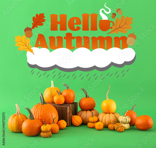 Many fresh pumpkins and tex...