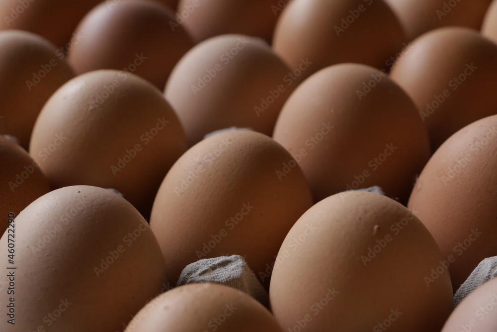 selective focused : rows of chicken eggs that form a beautiful pattern selective focused : rows of chicken eggs that form a beautiful pattern