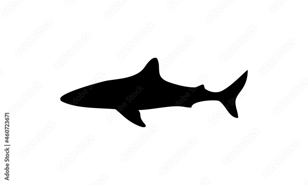 Fototapeta premium danger shark vector logo