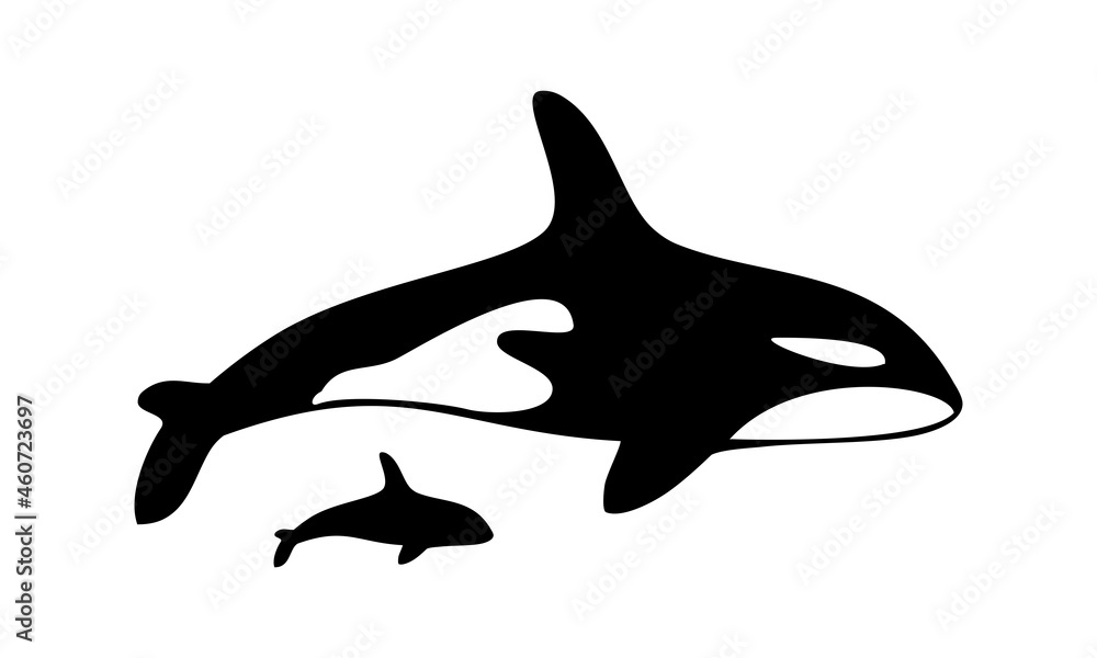 orca whale and baby orca vector orca whale and baby orca vector