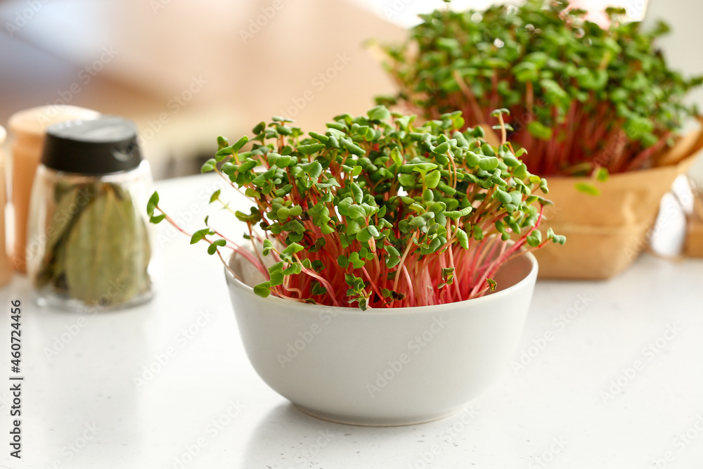 Bowl with fresh organic micro green on table Bowl with fresh organic micro green on table