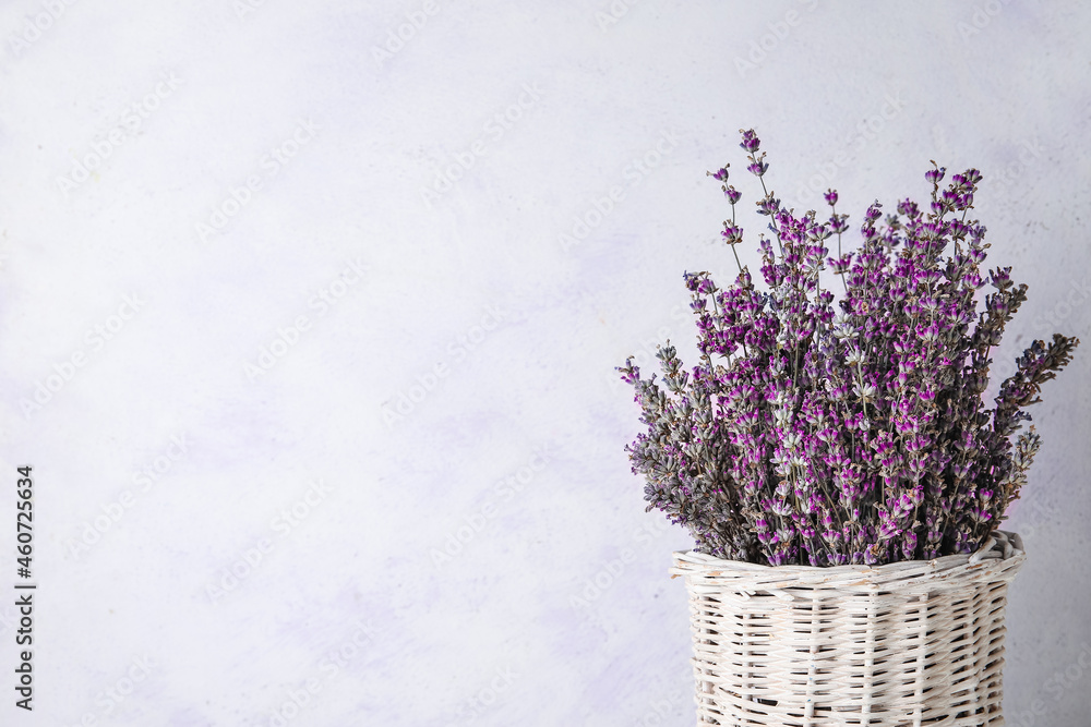 Wicker vase with beautiful lavender flowers on white background, closeup - obrazy, fototapety, plakaty 