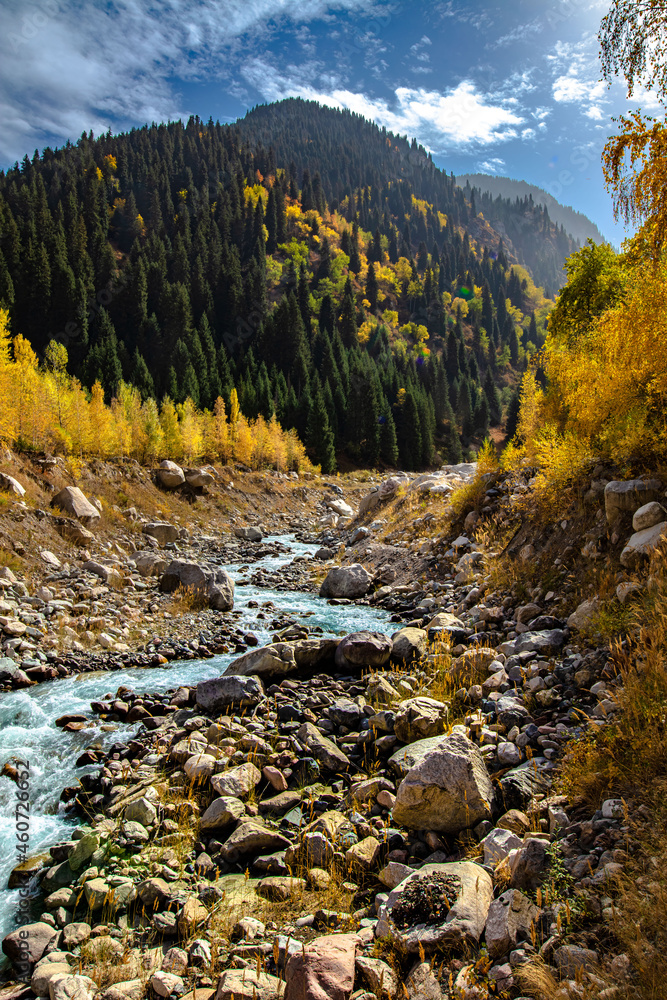 mountain river in autumn mountain river in autumn