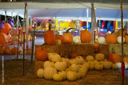 pumpkins halloween