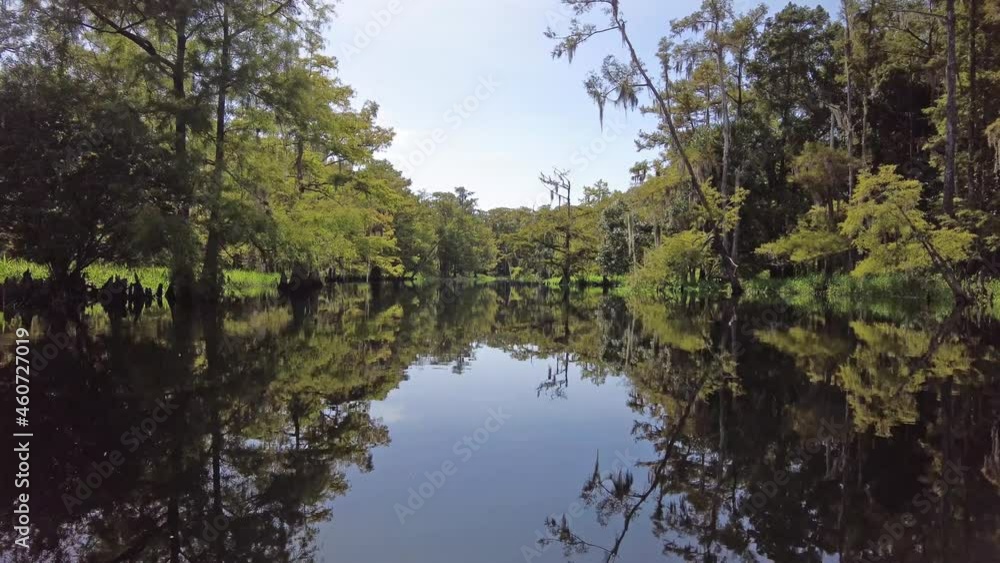 Late summer kayaking on Fisheating Creek near Palmdale, Florida on calm sunny day 4K. Late summer kayaking on Fisheating Creek near Palmdale, Florida on calm sunny day 4K.