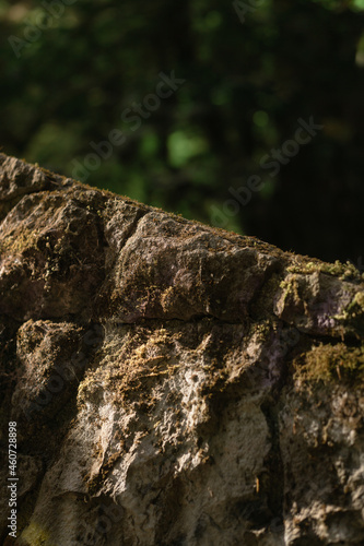 stone wall background in forest 