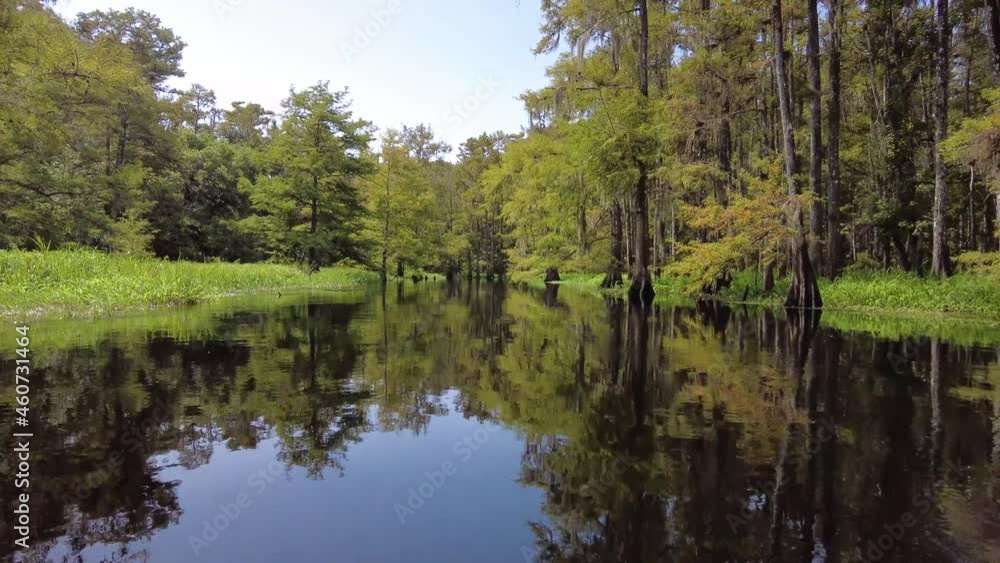 Late summer kayaking on Fisheating Creek near Palmdale, Florida on calm sunny day 4K. Late summer kayaking on Fisheating Creek near Palmdale, Florida on calm sunny day 4K.