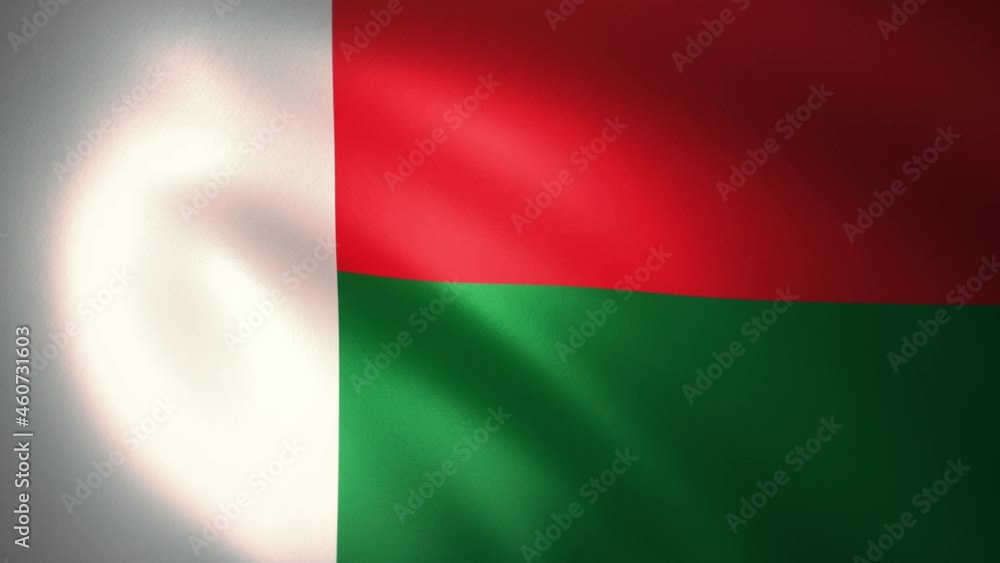 Flag of Madagascar Waving in the Wind (CG | LOOP) Flag of Madagascar Waving in the Wind (CG | LOOP)