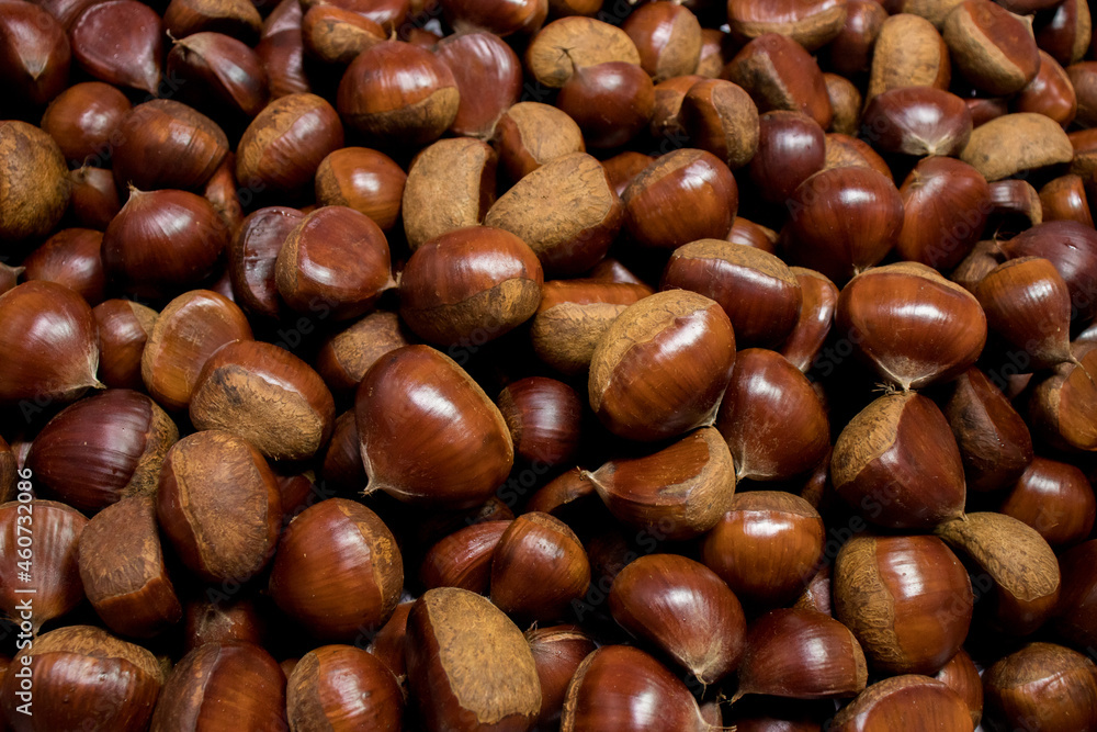 A pile of fresh raw chestnuts. Chestnut background. Autumn concept. A pile of fresh raw chestnuts. Chestnut background. Autumn concept.