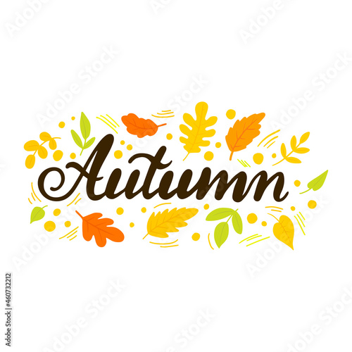 Autumn lettering with fall leaves. Hand drawn vector illustration.