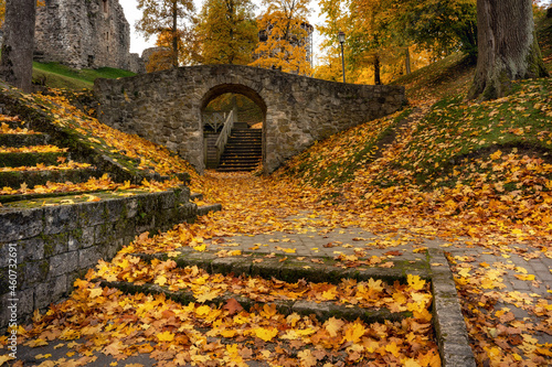 Autumn color. Leaves. Cesis. Latvia. 