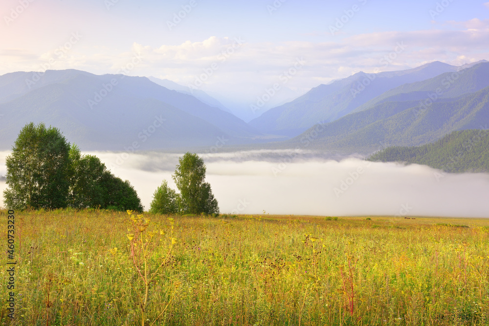 Fog in the Altai mountain valley
