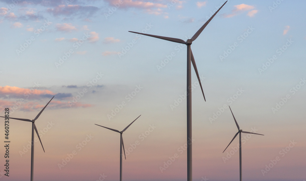 Fototapeta premium Windmills for electric power production at sunset.
