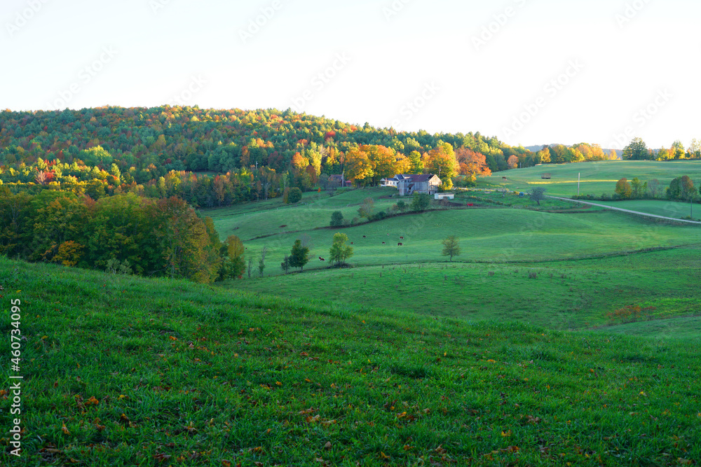 landscape of farmland in autumn season