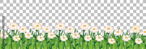 Grass and plants on transparent background for decor