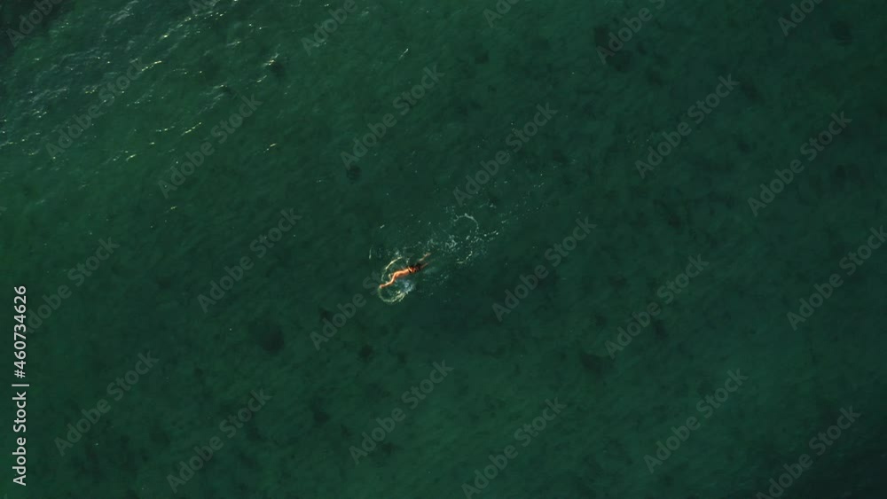 Person Swimming in the ocean in Hawaii Person Swimming in the ocean in Hawaii