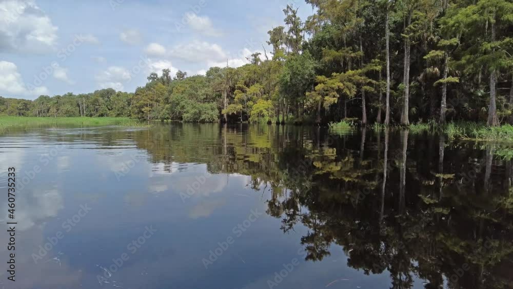 Late summer kayaking on Fisheating Creek near Palmdale, Florida on calm sunny day 4K. Late summer kayaking on Fisheating Creek near Palmdale, Florida on calm sunny day 4K.