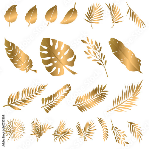 Set of golden vector floral design elements. Decoration elements for invitation, wedding cards, valentines day, greeting cards. Isolated.