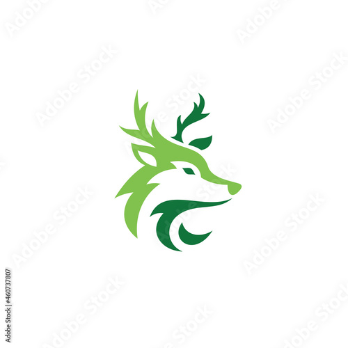 Deer Stag Buck Antler Head Vector logo Design