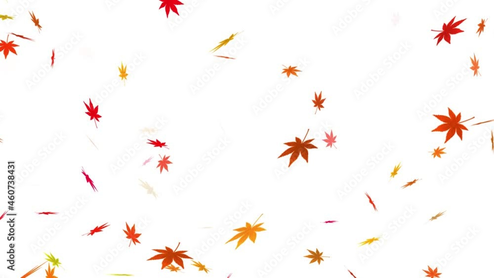 Fallen leaf loop video material Fallen leaf loop video material
