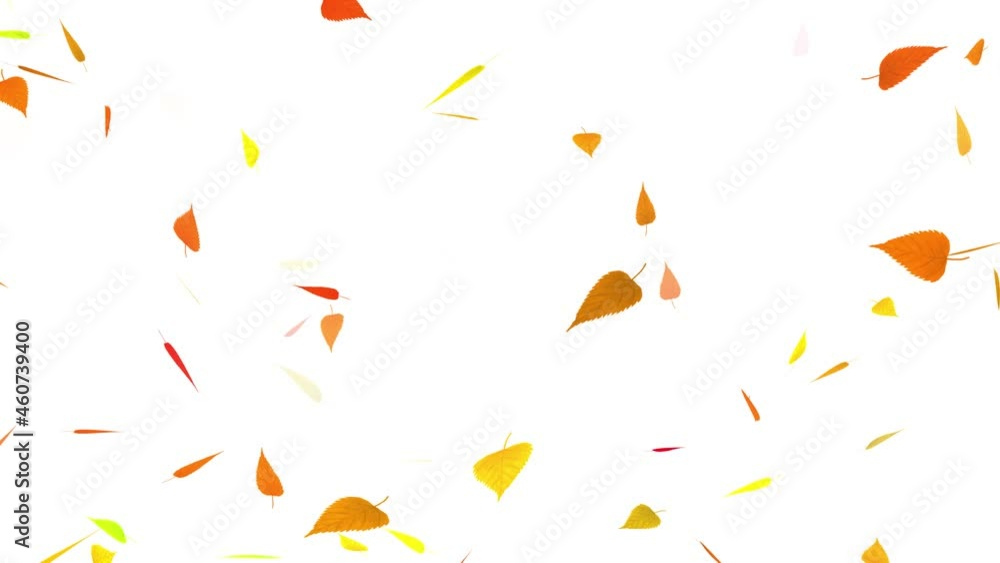 Fallen leaf loop video material Fallen leaf loop video material