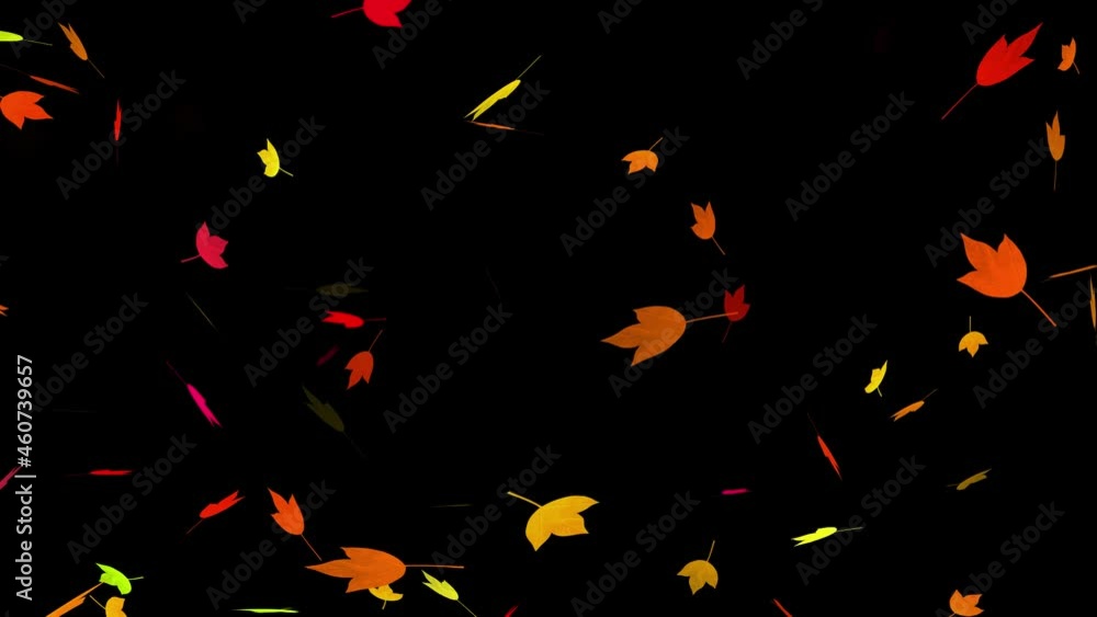 Fallen leaf loop video material Fallen leaf loop video material