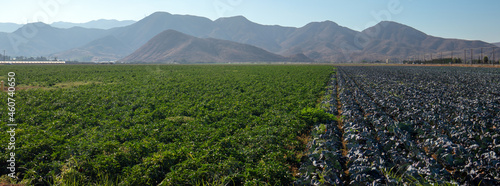 Agriculture Farm Field in Pleasant Valley California United Statesd photo