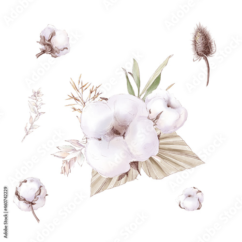 Fototapeta Naklejka Na Ścianę i Meble -  Set of cute cotton flowers branches and leaves. Watercolor illustration