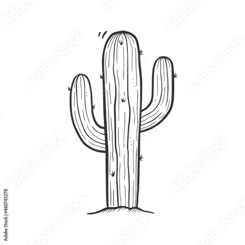 Hand drawn desert cactus element. Doodle sketch style. Drawing line simple desert cactus icon. Isolated vector illustration.