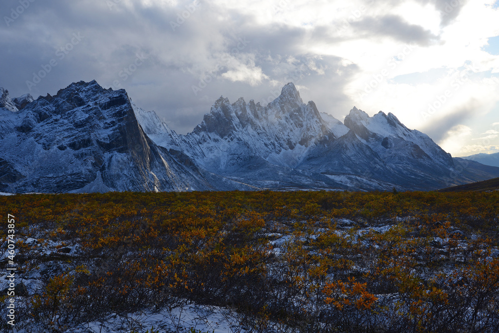 Fototapeta premium yukon landscape