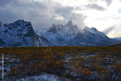 yukon landscape